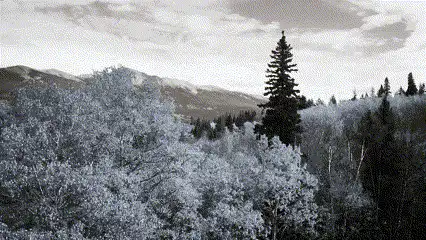 Un GIF del filtro blanco y negro en Clipchamp.