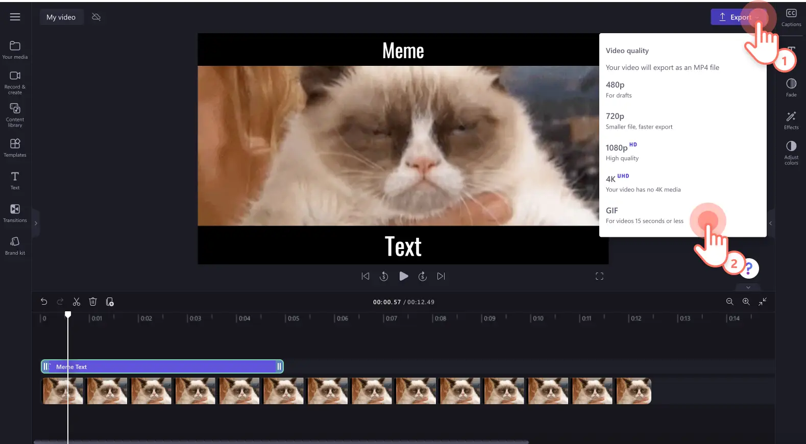 Immagine di un utente che salva il proprio video meme come GIF.