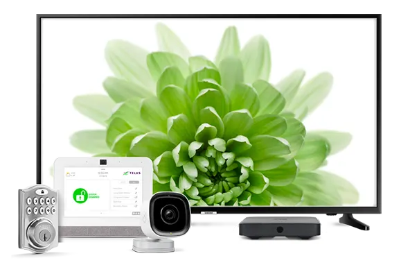 A TV, digital TV box, tablet, a deadbolt and security camera. The TV screen displays a green flower.