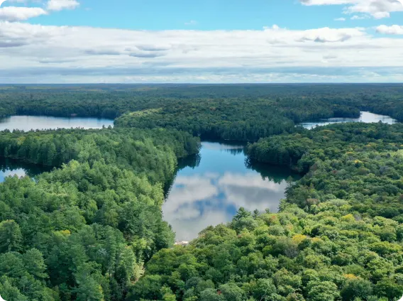 Landscape view of forests and water.