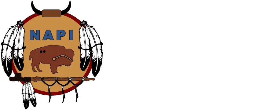 Napi Friendship Association logo.