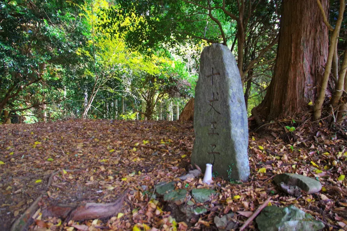 Japanese trail.SingleImage_11