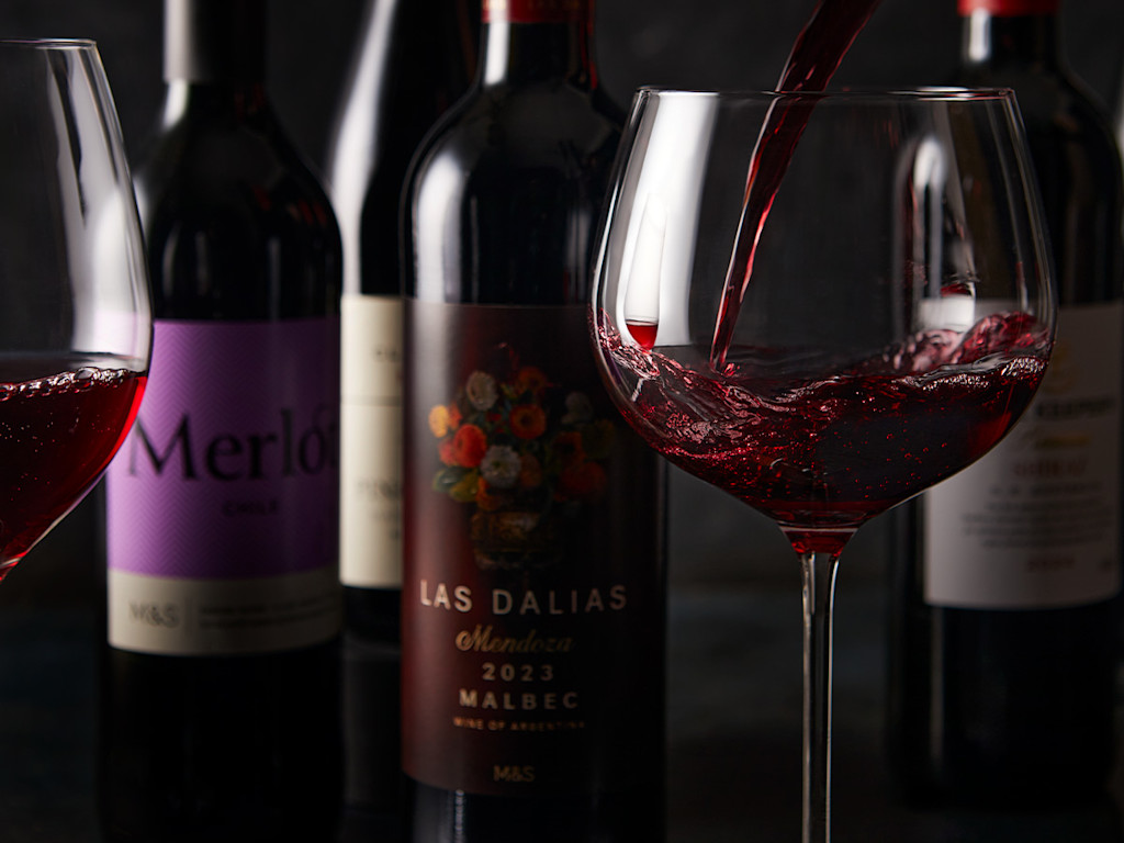 guide to red wine