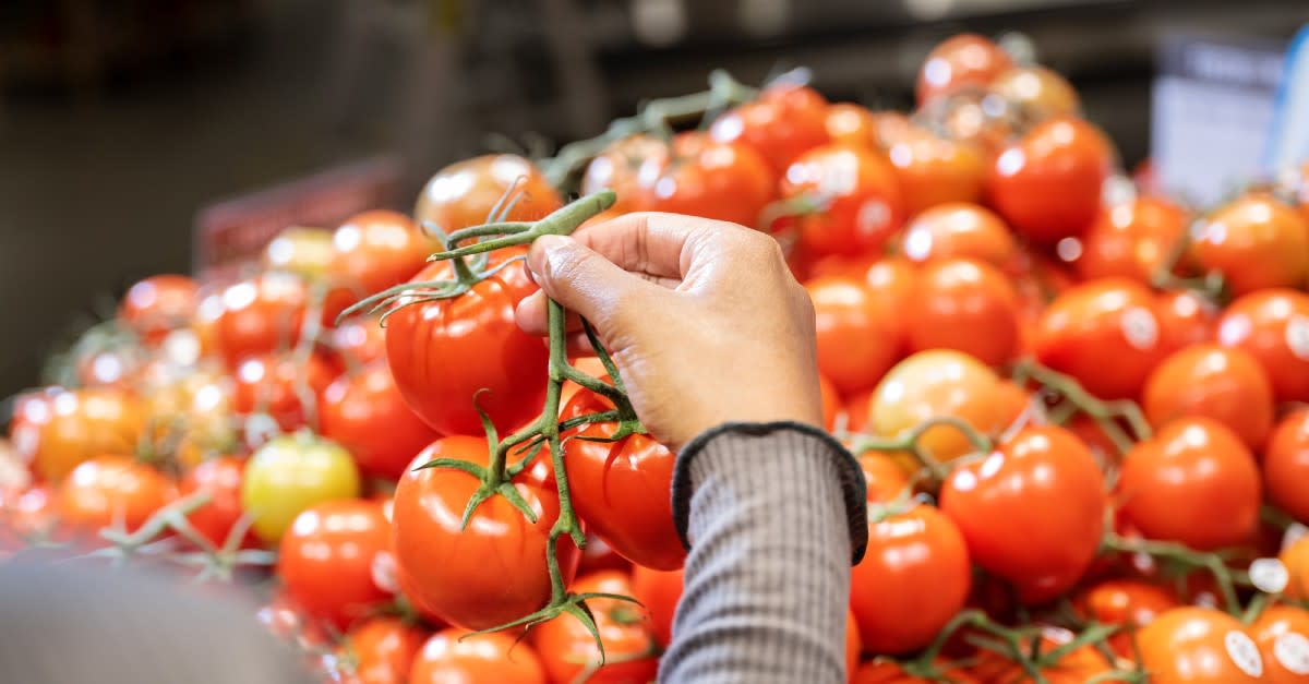 A person selecting ripe tomatoes from a large pile, highlighting supply chain innovation in agriculture