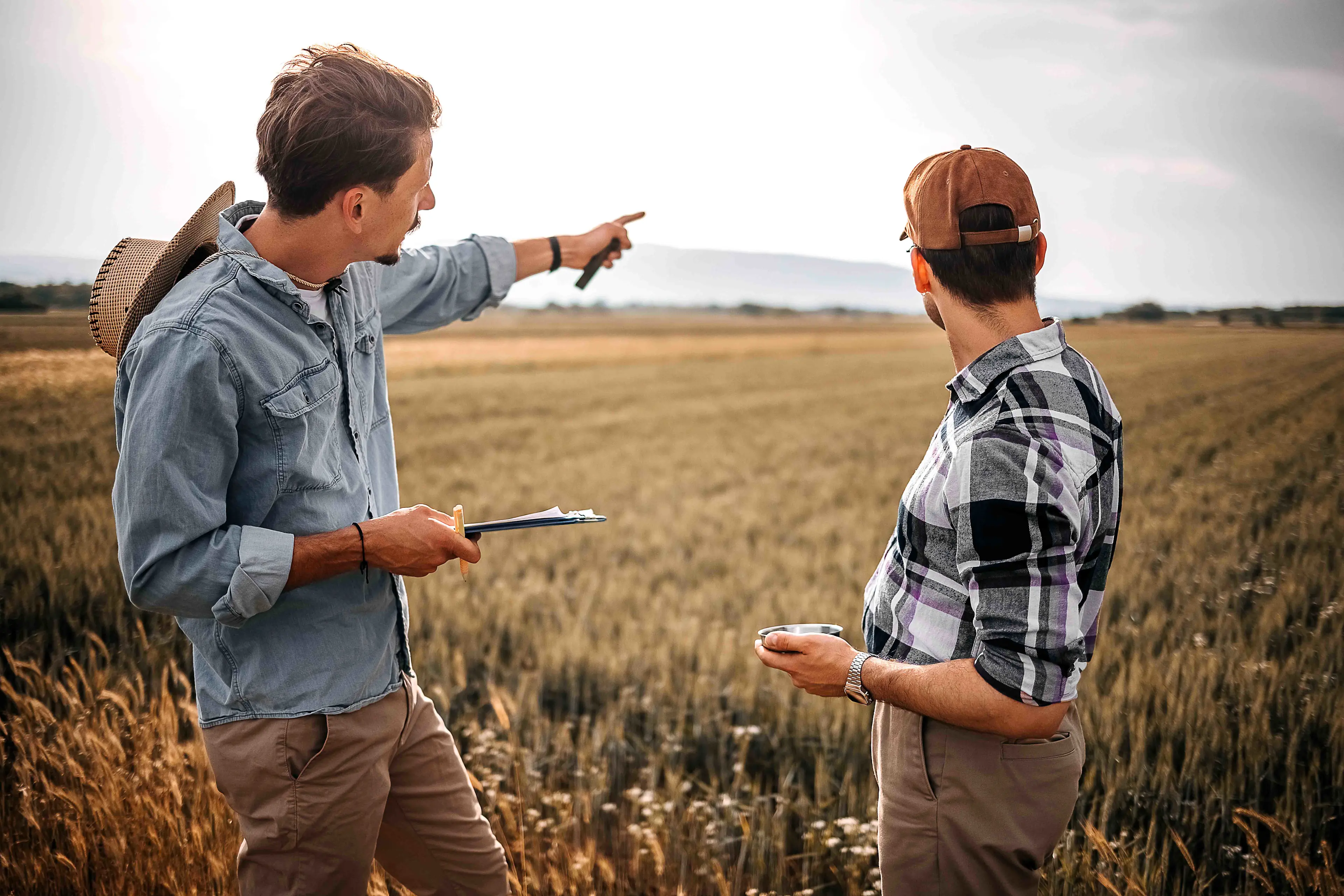 Two men in a field discussing technology's role in enhancing crop yield through modern farming techniques.