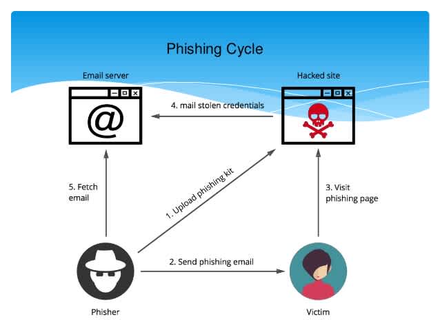 Graph showing how a phishing cycle works